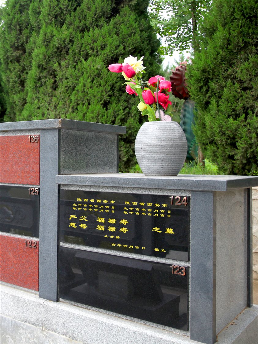 节地1号